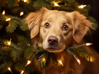 Similar image 21689059