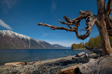 Similar image 21691769