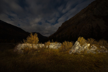 Similar image 21691770