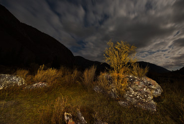 Similar image 21691772