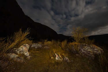 Similar image 21691774