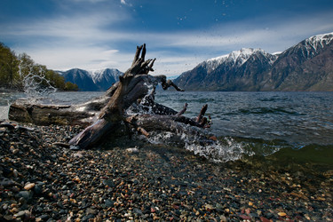 Similar image 21691787