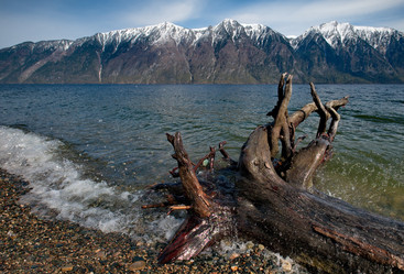 Similar image 21691792