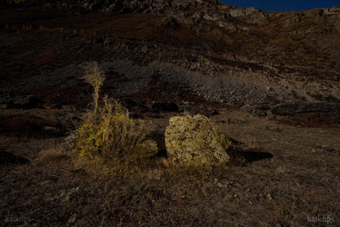 Similar image 21691793