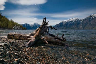 Similar image 21691794