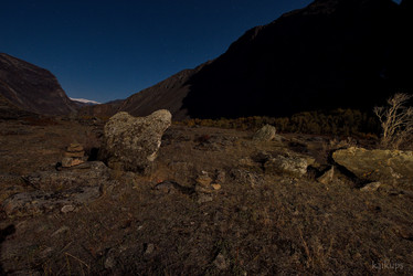 Similar image 21691795