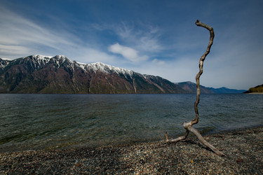 Similar image 21691796