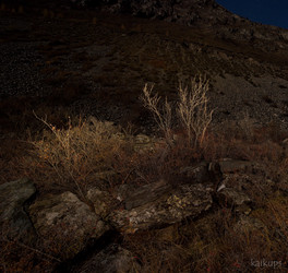 Similar image 21691797