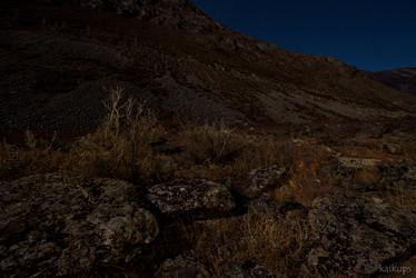 Similar image 21691801