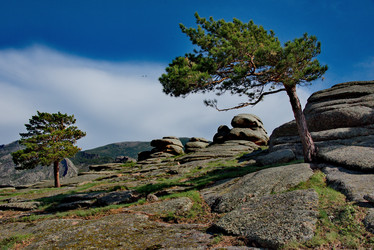 Similar image 21691802