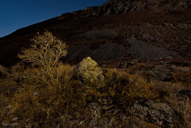 Similar image 21691803