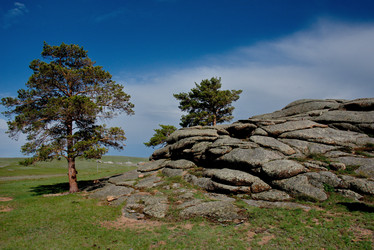 Similar image 21691807