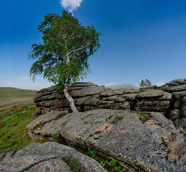 Similar image 21691808