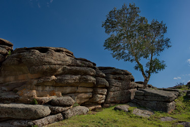 Similar image 21691809