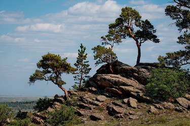 Similar image 21691812