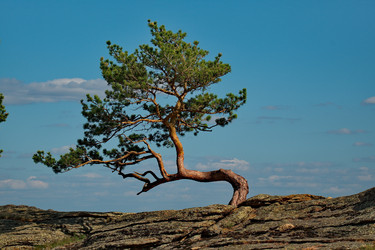 Similar image 21691813