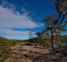 Similar image 21691816