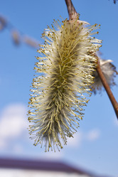 Similar image 21690523