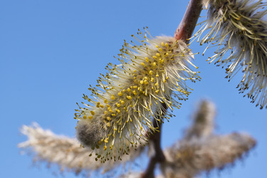 Similar image 21690747