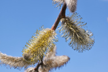 Similar image 21690750