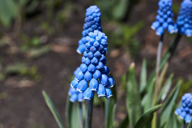 Similar image 21690761