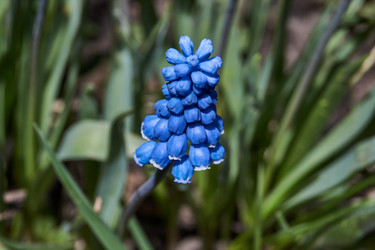 Similar image 21690762