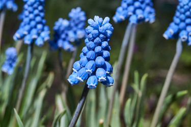 Similar image 21690765