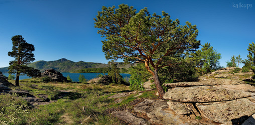 Similar image 21691838