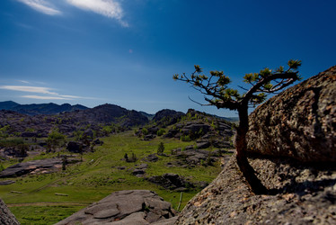 Similar image 21691840