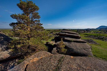 Similar image 21691843