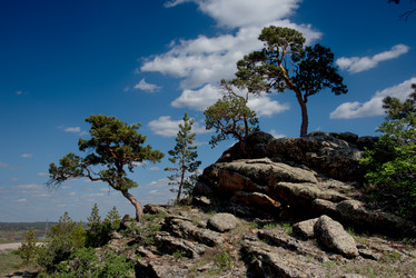 Similar image 21691845