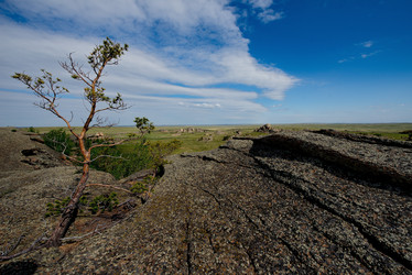 Similar image 21691846