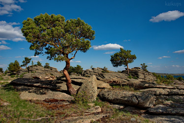 Similar image 21691847