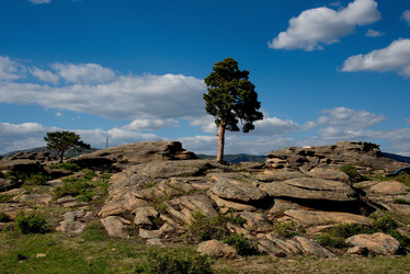 Similar image 21691850