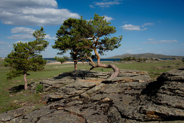 Similar image 21691851