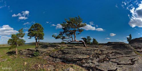 Similar image 21691852