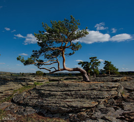 Similar image 21691853