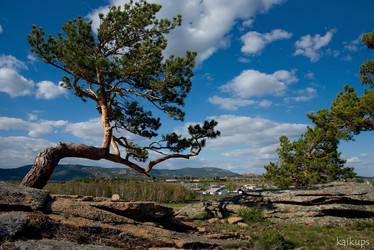 Similar image 21691854