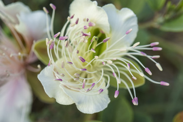 Similar image 21693909