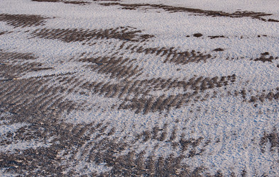 Similar image 21693402