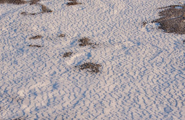 Similar image 21693403