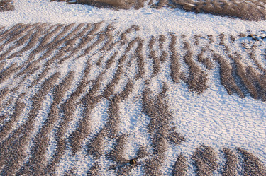 Similar image 21693404