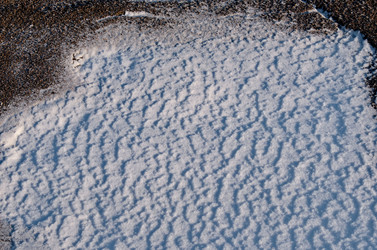 Similar image 21693405