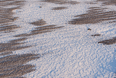 Similar image 21693406