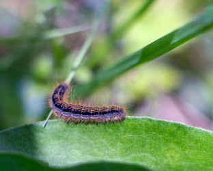 Similar image 21688917