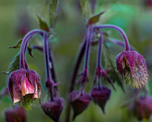 Similar image 21688918