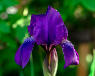 Similar image 21688919