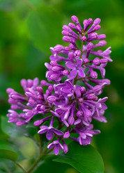 Similar image 21688924