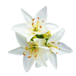 Similar image 21688930