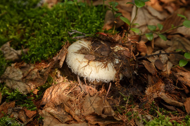 Similar image 21688931